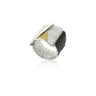 Audar ring zilver en goud R1877