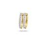 Blush Oorbellen 7236YZI - Geel Goud met Zirkonia (14krt.) 7236YZI yellow gold