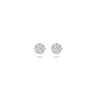 Blush Diamonds 7621WDI