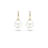Blush Oorbellen 7050YPW Goud