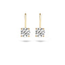 Blush Oorbellen 7055YZI Goud