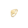 Blush Ring 1190YGO Goud