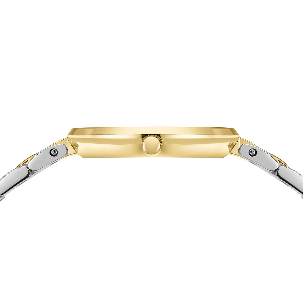 Bering_Watch_Clasic_Women17529-710__2