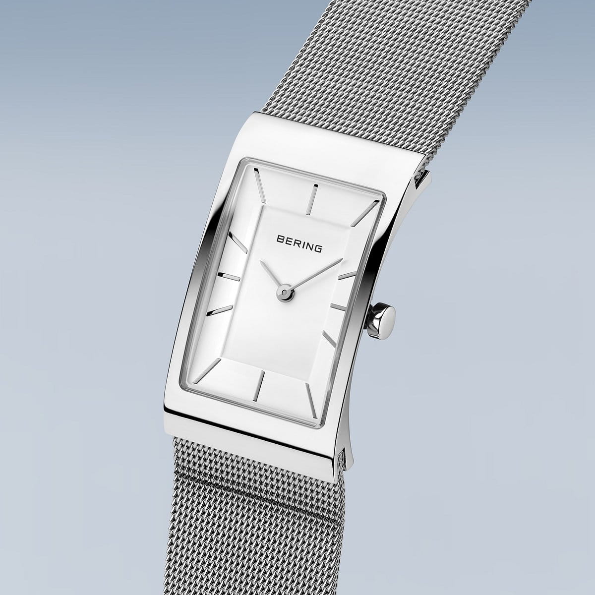 Beringwatch10222-004-s__2