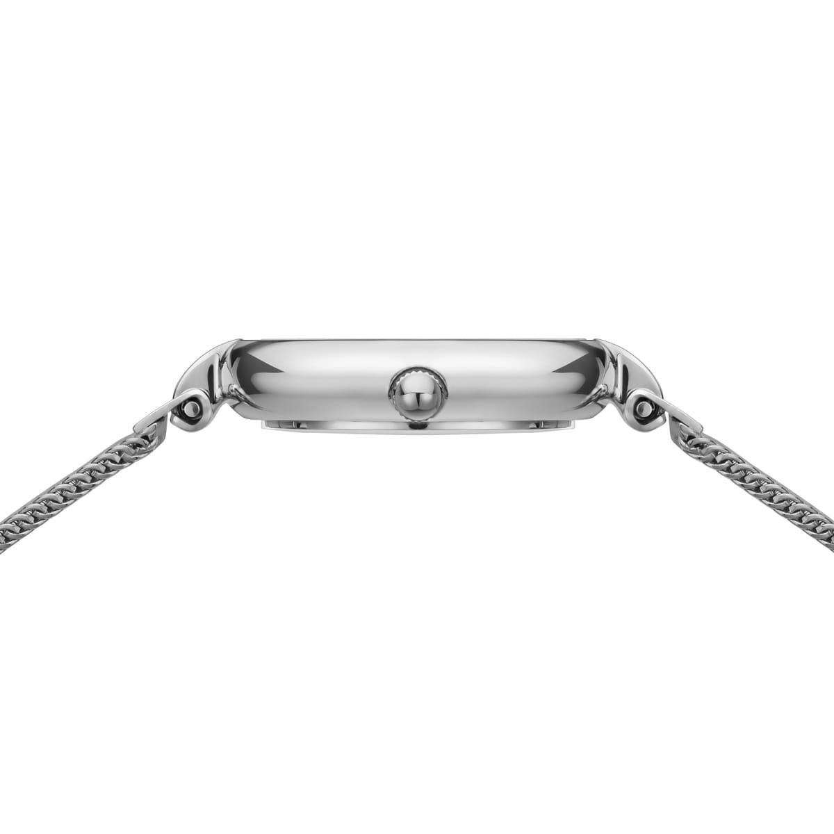 Beringwatch17724-000__3