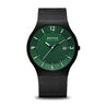 Beringwatchsolarmen14440-229__1