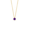 BlushBirthstonecollieramethyst3200YAMamethistgeelgoud__1