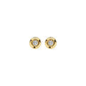 BlushLabDiamondsOorknoppenLG7004Y__1