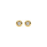 BlushLabDiamondsOorknoppenLG7005Y__1