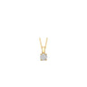 BlushLabDiamondshangerLG6000Ygeelgoud__1