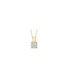 BlushLabDiamondshangerLG6001Ygeelgoud__1