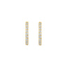 BlushLabDiamondsoorringenLG7008Y__1