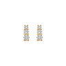 BlushLabDiamondsoorstekersLG7030Y__1