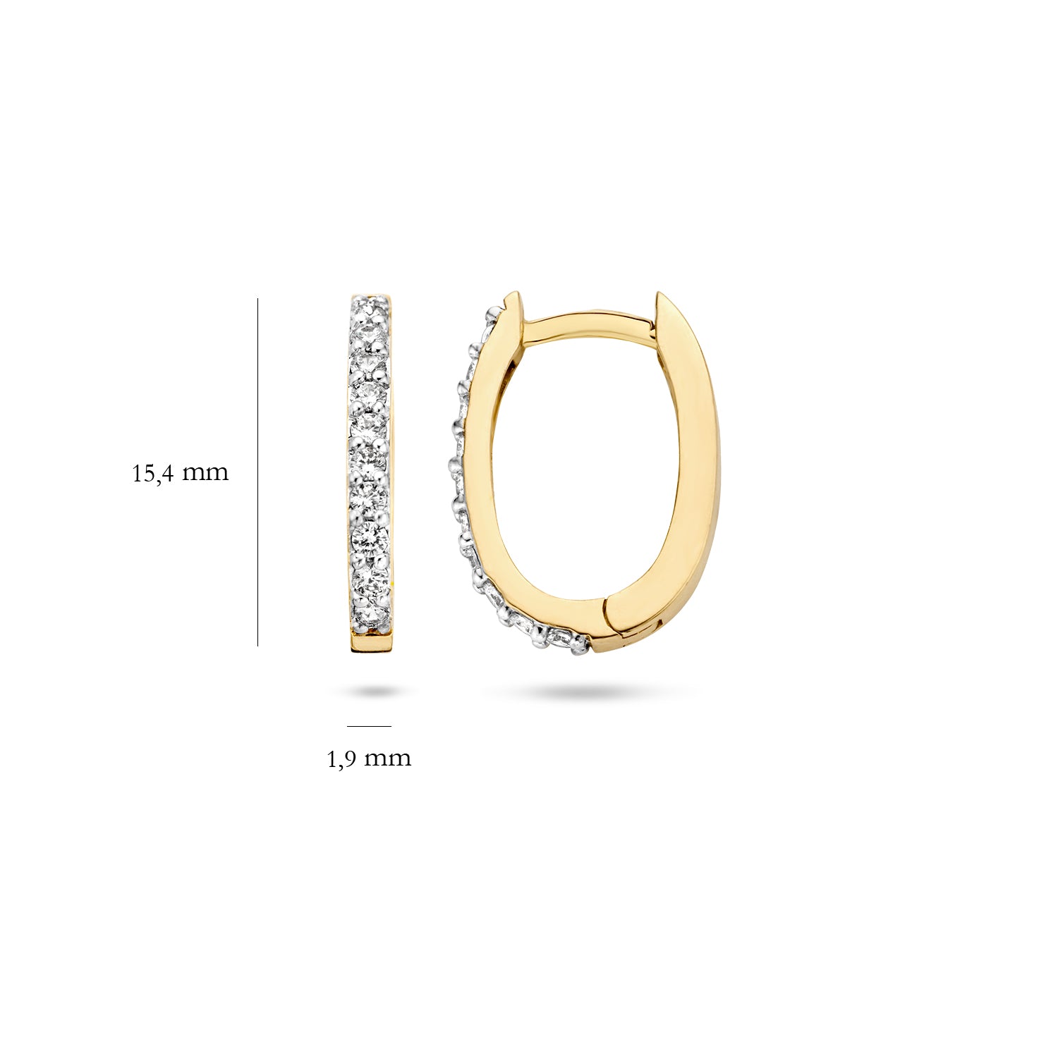 BlushOorbellen7236YZI-GeelGoudmetZirkonia(14krt)7236YZIyellowgold__4