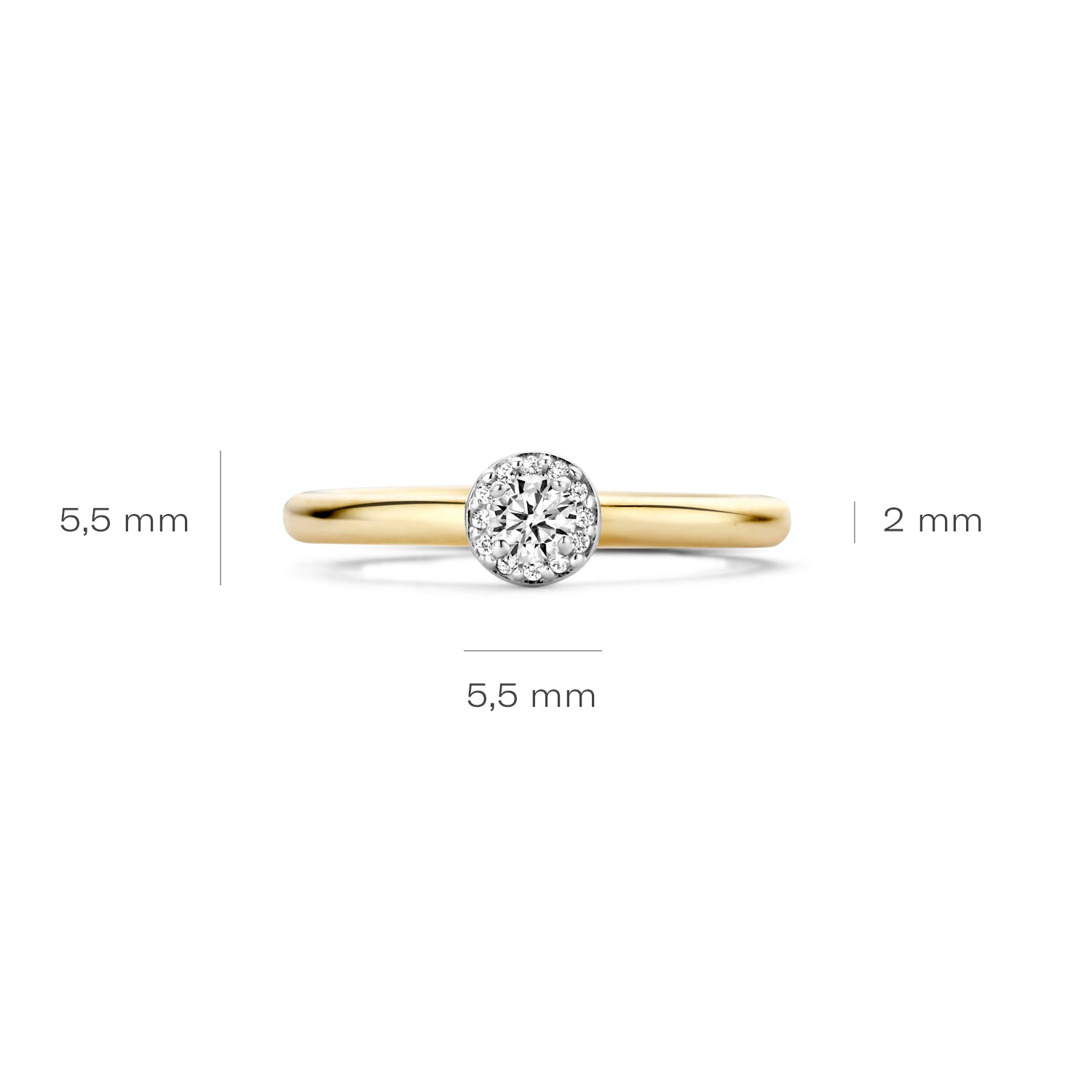 BlushRing1131BZI-GeelenWitGoud(14Krt)metZirconia1131BZIGoud__4