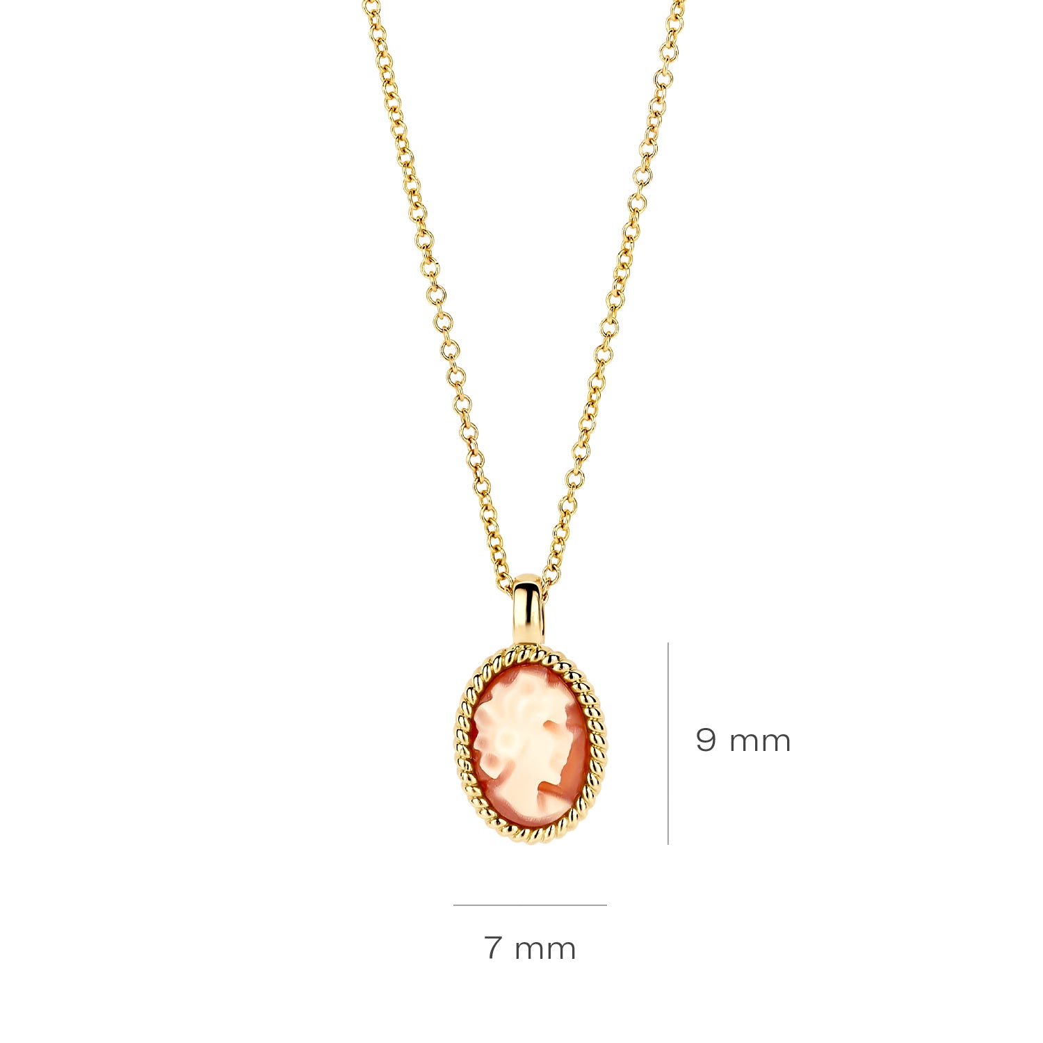 Blushcollier3167YCAgeelgoud__3