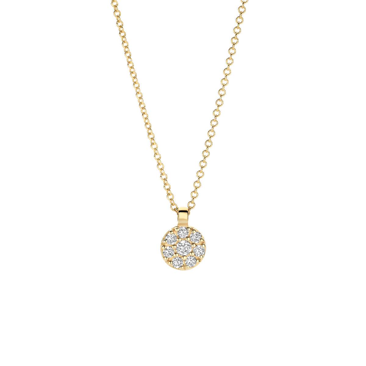 Blushcollier3206YZI__1