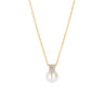 Blushcolliermetparelenzirkonia3163YPW__1
