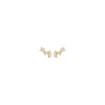 Blushoorstekers7373YZIGoud__1