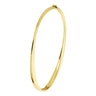 Gouden bangle met scharnier 40.19639