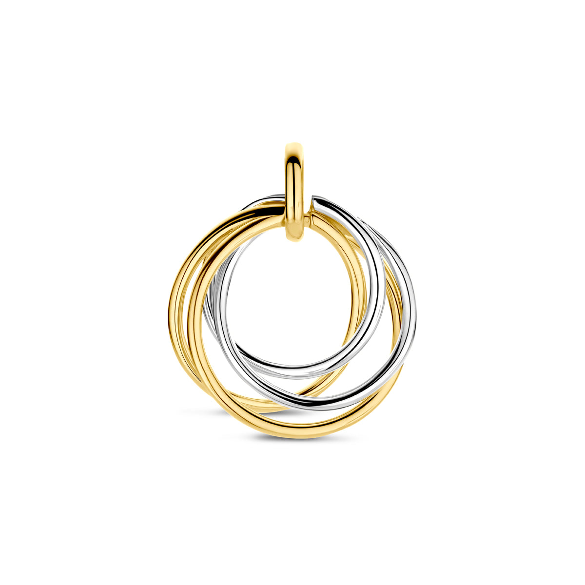 Goudenbicolorhangercirkels4209098B0248__1