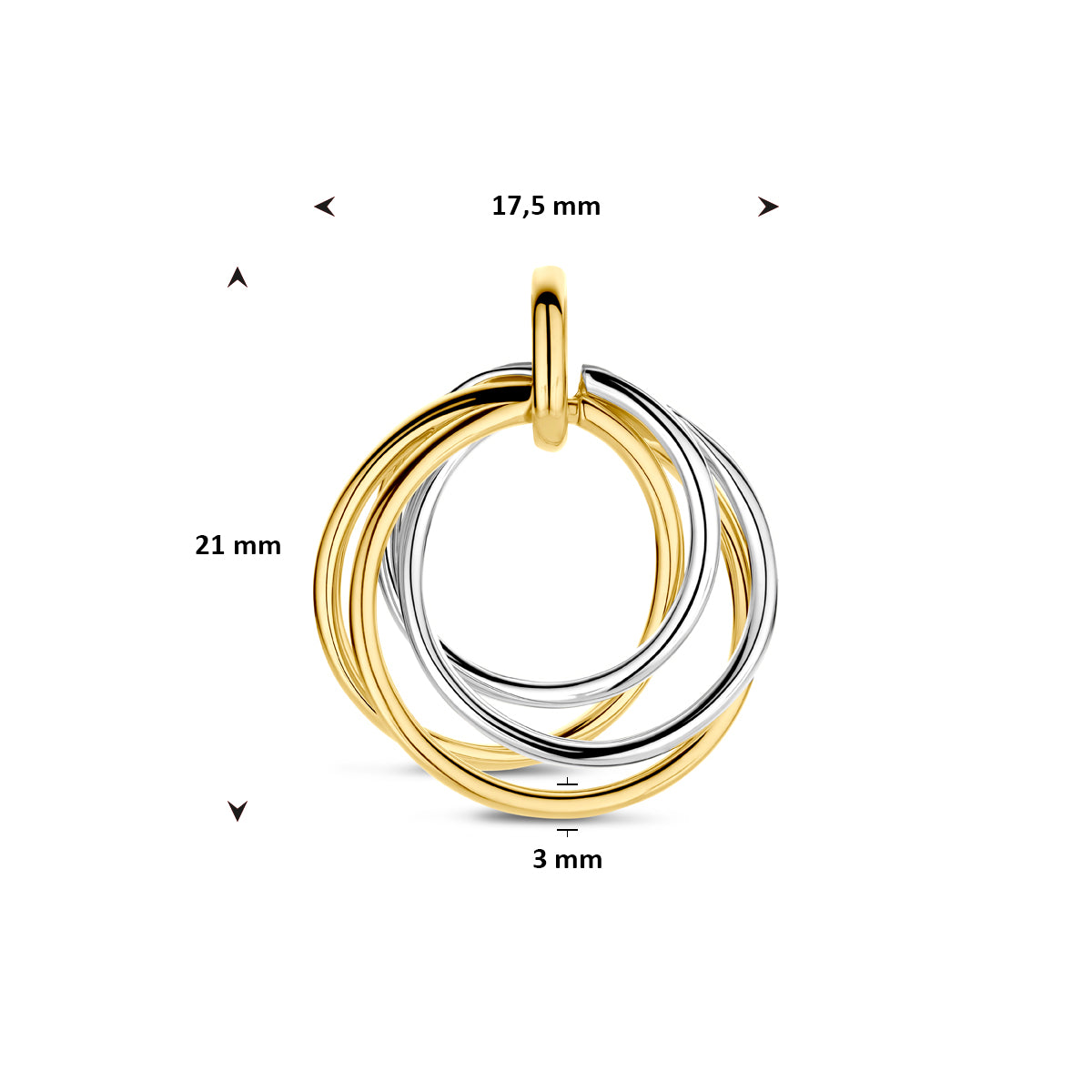 Goudenbicolorhangercirkels4209098B0248__3