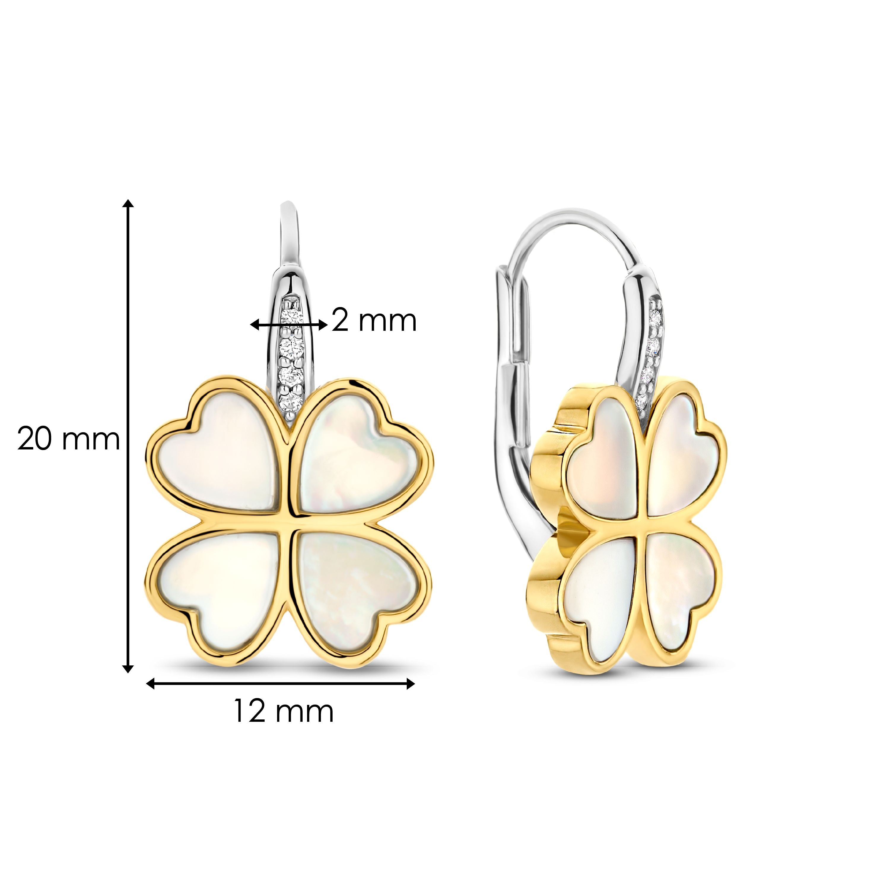 TiSentooorsieraadverguld78005MWZilvergeelverguld__4